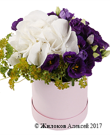 ����� ����� � ������� � ������� �������