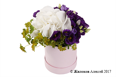 ����� ����� � ������� � ������� �������