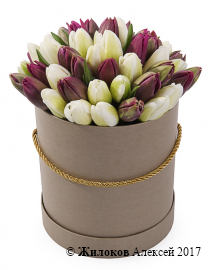 Букет 51 королевский тюльпан в коричневой шляпной коробке, бело-пурпурный микс