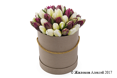 ����� 51 ����������� ������� � ���������� ������� �������, ����-��������� ����