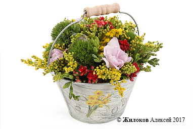 ����� ������� ��������