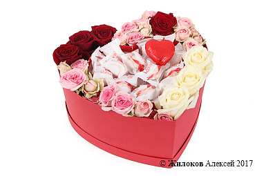 ���������� ������� ��������� (Raffaello)