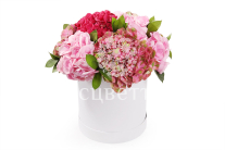 ����� � ����������� �������� ������� � ������� �������