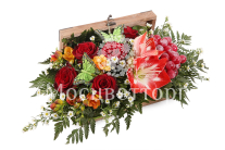 ���������� ������ ������� � �����