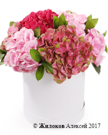 ����� � ����������� �������� ������� � ������� �������