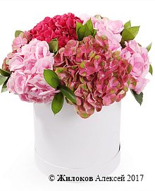 ����� � ����������� �������� ������� � ������� �������