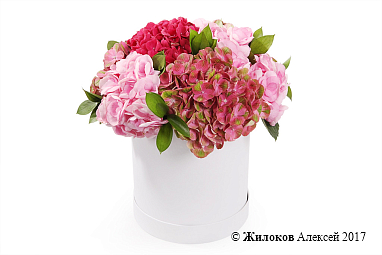 ����� � ����������� �������� ������� � ������� �������