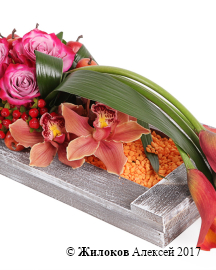 ���������� ������� ������