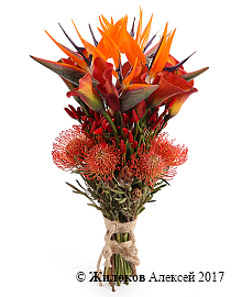 ����� � ������� ����� ������� ������