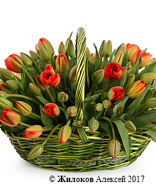 ����� 101 ������� ������� � �������