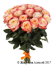 ����� 21 ���� ������