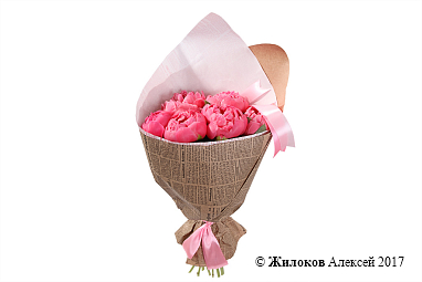 ����� �� ������ ��������� �����