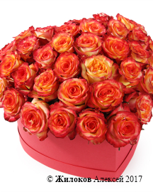 ����� ��������� ������ � ������� ������� ������