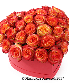 ����� ��������� ������ � ������� ������� ������