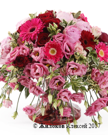 ���������� ������ ������