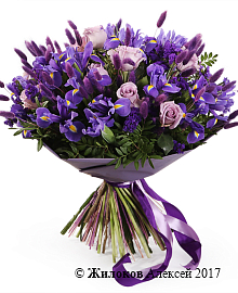 ����� ������� ����