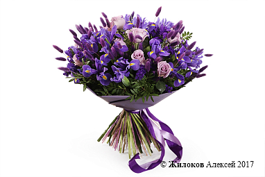 ����� ������� ����