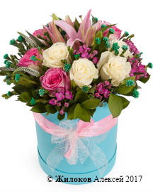 ����� �������� ������ � ������� �������