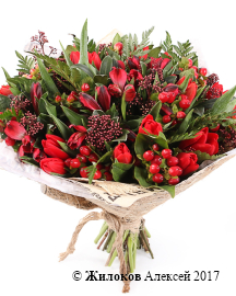 ����� �������