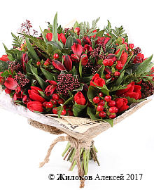 ����� �������