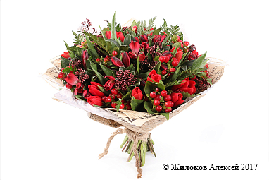 ����� �������