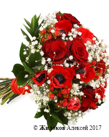 ����� ������� ��������