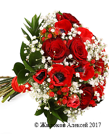 ����� ������� ��������