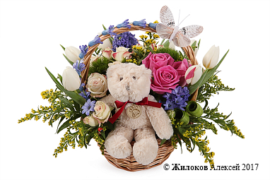 ����� ������ ���