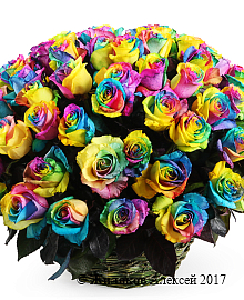 ����� 101 �������� ���� � �������