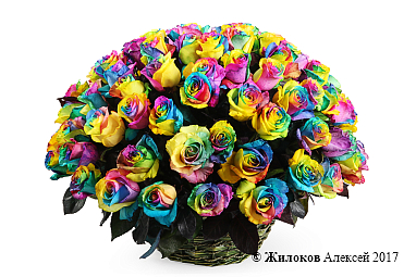 ����� 101 �������� ���� � �������