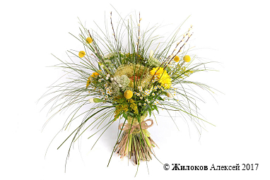 ����� ������ �����