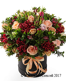 ����� ������ ����� � ������� �������