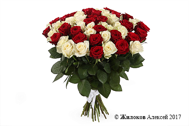 ����� 51 ���� ������-����� ����