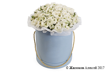 ����� �������� � ������� � ������� �������