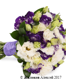 ����� ������� �������