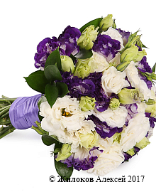 ����� ������� �������