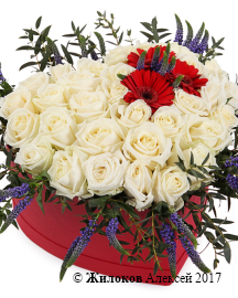 ����� ������������� ������ � ������� ������� ������