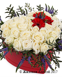 ����� ������������� ������ � ������� ������� ������