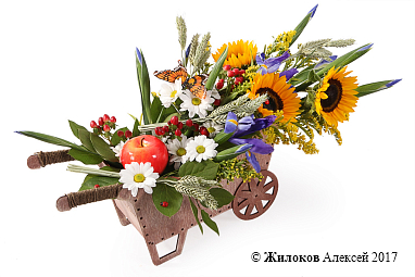 ����� ���� �������