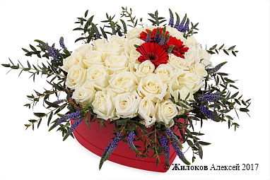 ����� ������������� ������ � ������� ������� ������