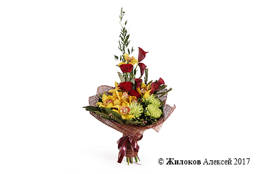 ����� ��������� ������