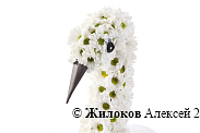 Композиция Белый лебедь