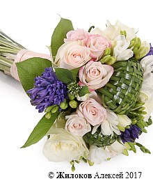 ����� ������� ���������