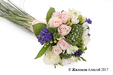 ����� ������� ���������