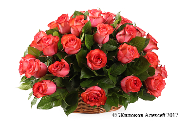 ����� 35 ��� ������ � �������