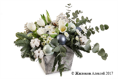 ���������� �������� ���� � �����