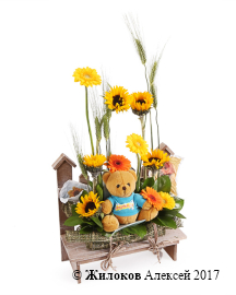 ���������� ������ ������� ����