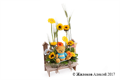 ���������� ������ ������� ����